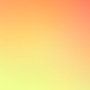 Meet your Posher, Sydnee